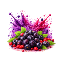 Black Currant Goji Berry