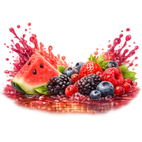 Go Mix (Watermelon, Wildberry)